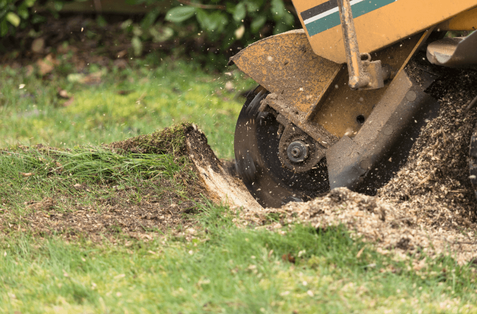 Stump Grinder